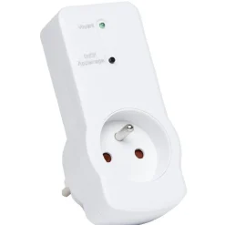 Gifi Accessoires Électriques^2 prises et télécommande