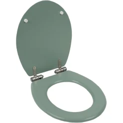 Gifi Equipement Wc^Abattant WC bois vert avec frein de chute déclipsable réglable