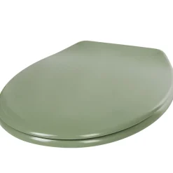 Gifi Equipement Wc^Abattant WC plastique duroplast vert foncé frein de chute