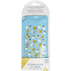 Gifi Accumuluteur de froid - plastique 20x9xép0,8cm