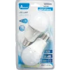 Gifi Ampoule^Ampoule A60 en verre blanc 1055 lm x2