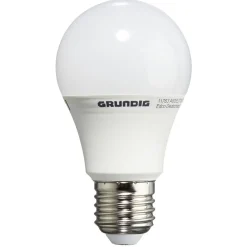 Gifi Ampoule^Ampoule A60 en verre blanc 1055 lm x2