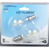 Gifi Ampoule^Ampoule LED à filament G45 lumière chaude 2,5W x2