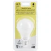 Gifi Ampoule^Ampoule LED détecteur de mouvement E27 60 W