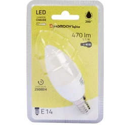 Gifi Ampoule^Ampoule LED forme flamme Homday lumière chaude