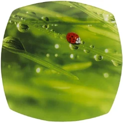 Gifi Assiette plate carrée verte design coccinelle