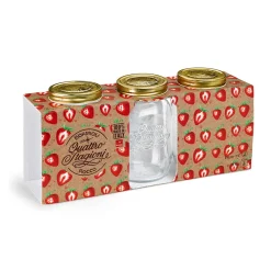 Gifi Bocal à stériliser 1 L x 3