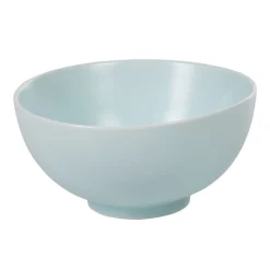 Gifi Bol petit déjeuner vert d'eau en porcelaine grand format
