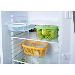 Gifi Boîte alimentaire hermétique avec panier fraîcheur 4 L vert