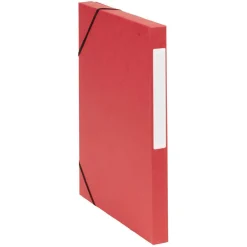 Gifi Rangement|Boîte de classement cartonnée élastique x4