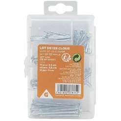 Gifi Quincaillerie^Boîte de clous - 125 pointes