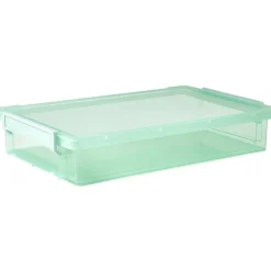 Gifi Rangement|Boîte de rangement avec fermeture à clips vert 4 L