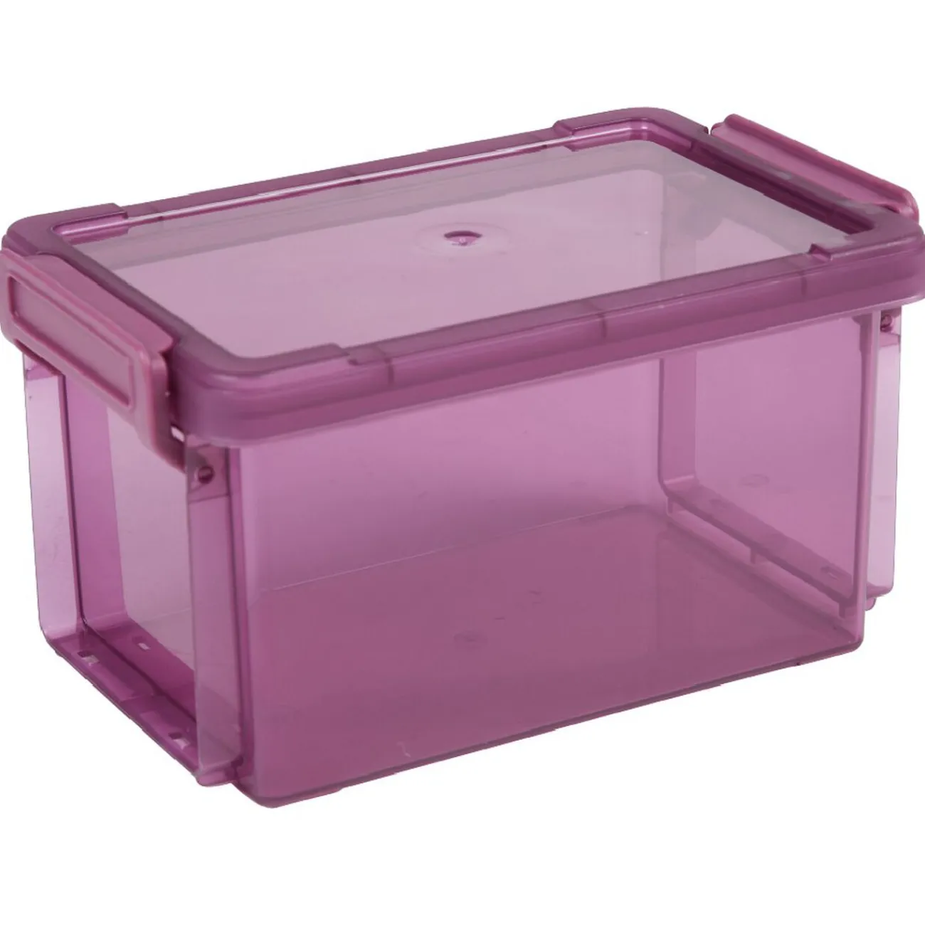 Gifi Rangement|Boîte de rangement transparente à clip 0,70L