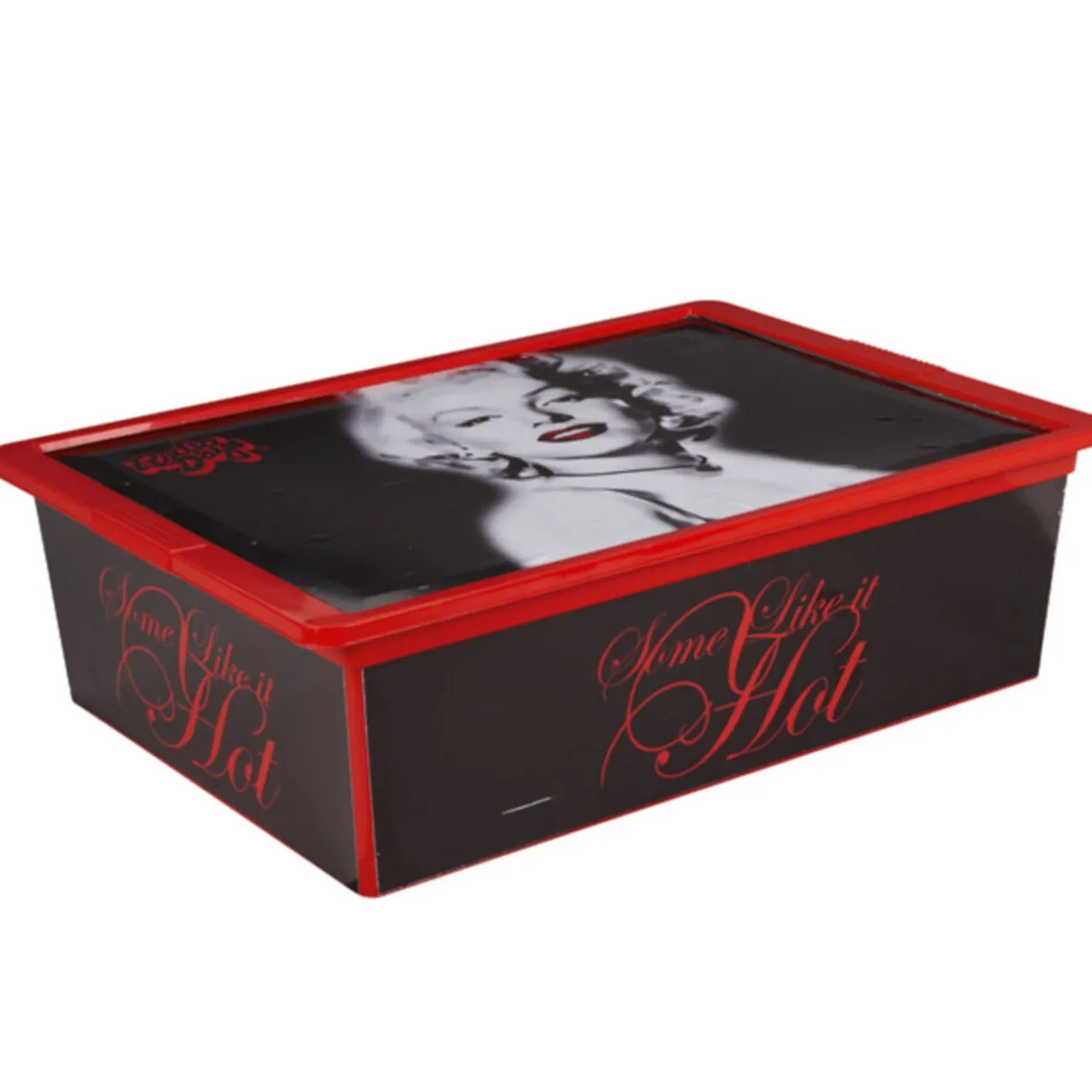 Gifi Rangement|Boîte Marilyn 27 L