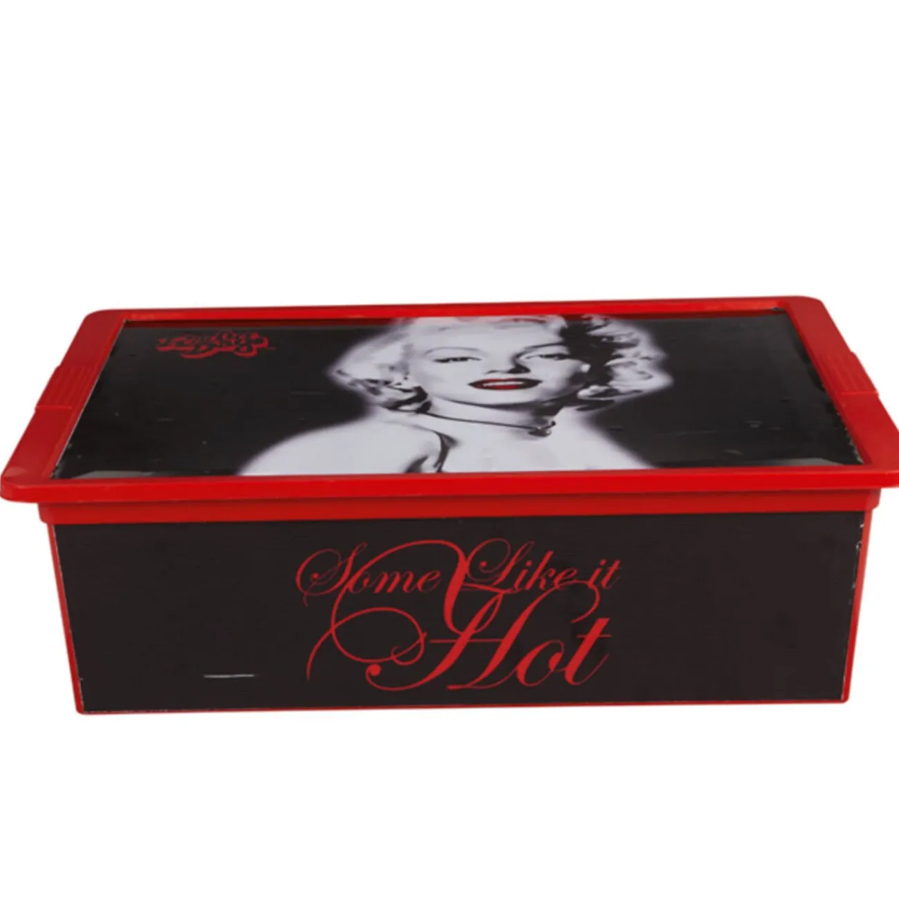 Gifi Rangement|Boîte Marilyn 27 L