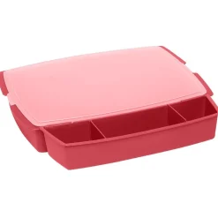 Gifi Boîte plastique spécial barbecue x2