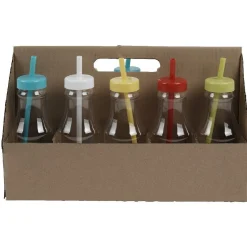 Gifi Bouteille en plastique avec paille colorée x10