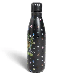 Gifi Bouteille isotherme Disney Villains inox 500ml - 4 modèles