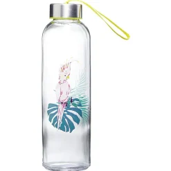 Gifi Bouteille transport en verre