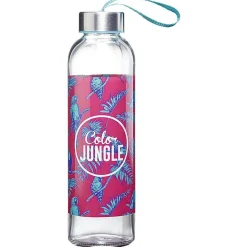 Gifi Bouteille transport en verre