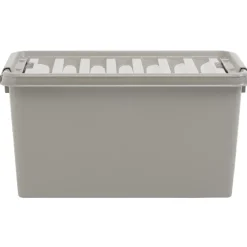 Gifi Rangement|Box de rangement à clip grise 45 L