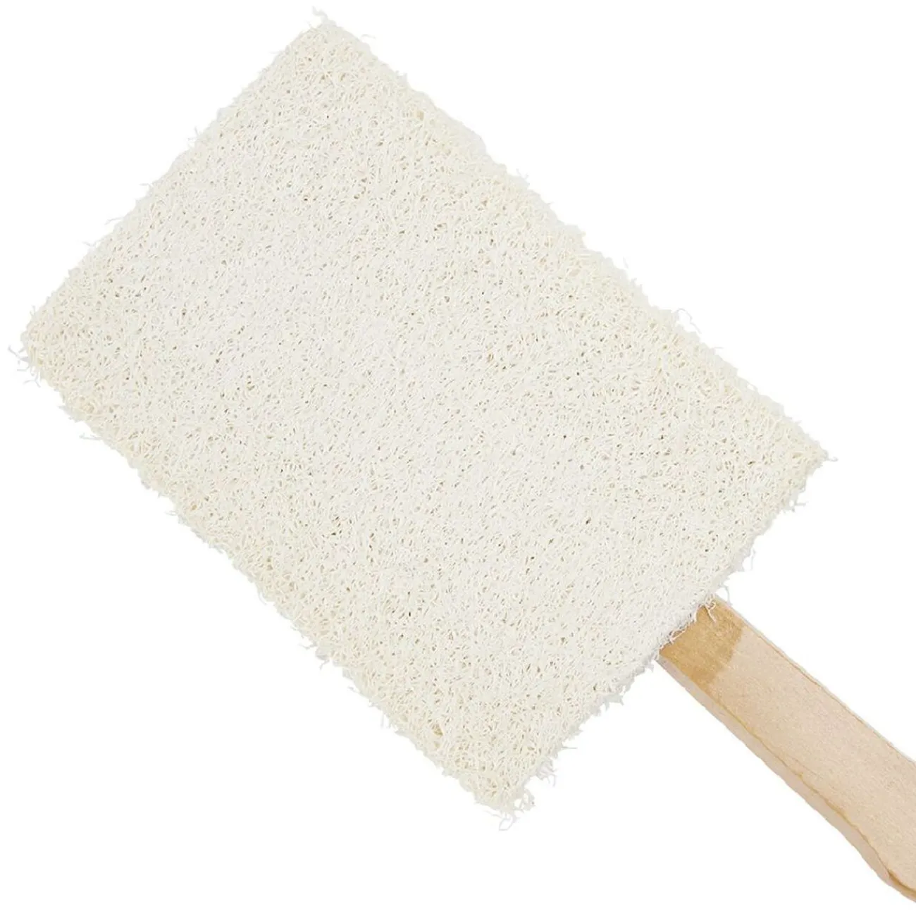 Gifi Beauté^Brosse pour le corps double face brosse et éponge grattante