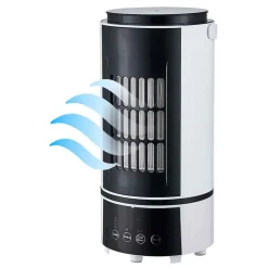 Gifi Chauffage^Chauffage rafraîchisseur d'air 2 en 1 800W noir