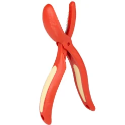 Gifi Coupe chataignes rouge et jaune