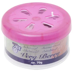 Gifi Nettoyage Et Entretien|Désodorisant gel parfumé 70g