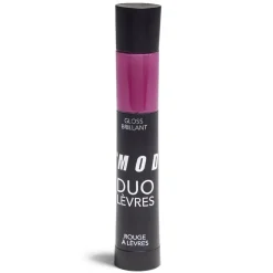 Gifi Beauté^Duo levres gloss et rouge a levres assortie