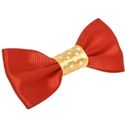 Gifi Beauté^Elastique pour les cheveux