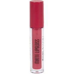 Gifi Beauté^Gloss avec crayon à lèvres Magic studio