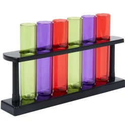 Gifi Jeu à boire 6 tubes à essai