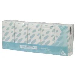 Gifi Bien-Être^Lot de 10 paquets de mouchoirs en papier à 3 plis blanc