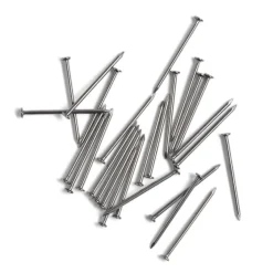 Gifi Outils Bricolage^Lot de 50 pointes à tête plate 50mm