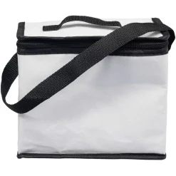 Gifi Lunch bag thermo 6l rose