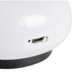 Gifi Bien-Être^Masseur anti-cellulite rouler/palper