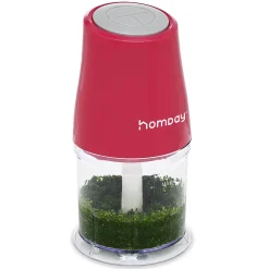 Gifi Mini hâchoir électrique 100W capacité 360 ml