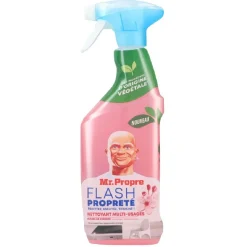 Gifi Nettoyage Et Entretien|Mr Propre pistolet nettoyant multi-usages senteur cerise 500ml