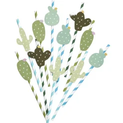 Gifi Paille cactus x20