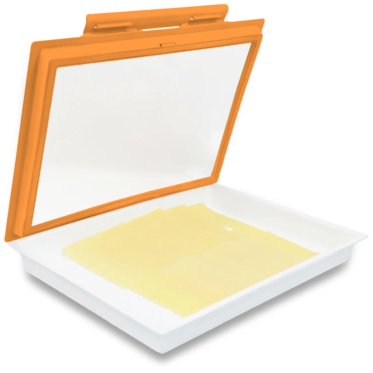 Gifi Plateau de conservation x 2