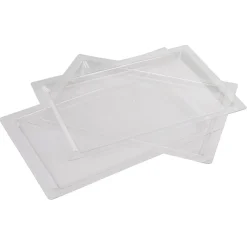 Gifi Plateau rectangulaire plastique réutilisable transparent x3