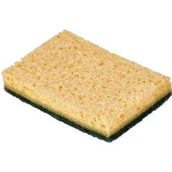 Gifi Nettoyage Et Entretien|Éponge grattante x 2