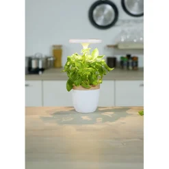 Gifi Potager d'intérieur à éclairage led CECOA