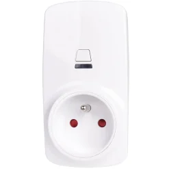 Gifi Accessoires Électriques^Prise connectée WIFI et port USB