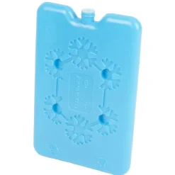 Gifi Sac fraîcheur lunch box avec bloc de glace