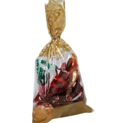 Gifi Sachet en plastique x10