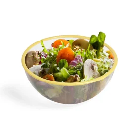 Gifi Saladier plastique transparent bordure colorée Ø28xH12cm - 3 coloris