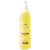Gifi Bien-Être^Shampooing kératine Byphasse sublim'protect 520 ml cheveux secs