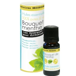 Gifi Bien-Être^Synergie Bouquet de menthe Mességué